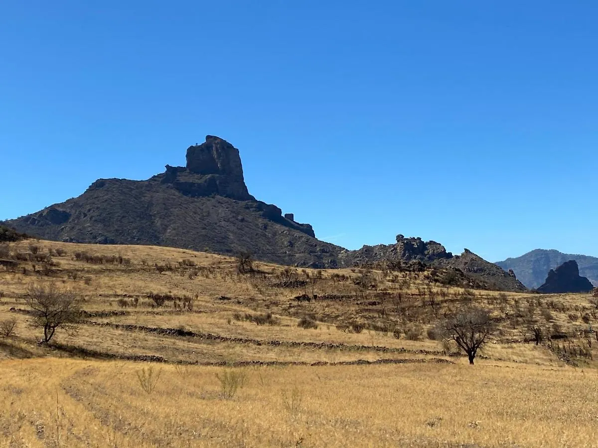 Appartement Vacacional La Tea The Best Location And The Best Views Tejeda